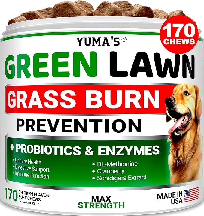 YUMA'S Dog Urine Neutralizer for Lawn - 170 Chews - Advanced Grass Green Savers for Dog Urine - Canine Pee Grass Neutralizer Supplement - Green Lawn Treats with Probiotics and Digestive Enzymes-Mewly Pet