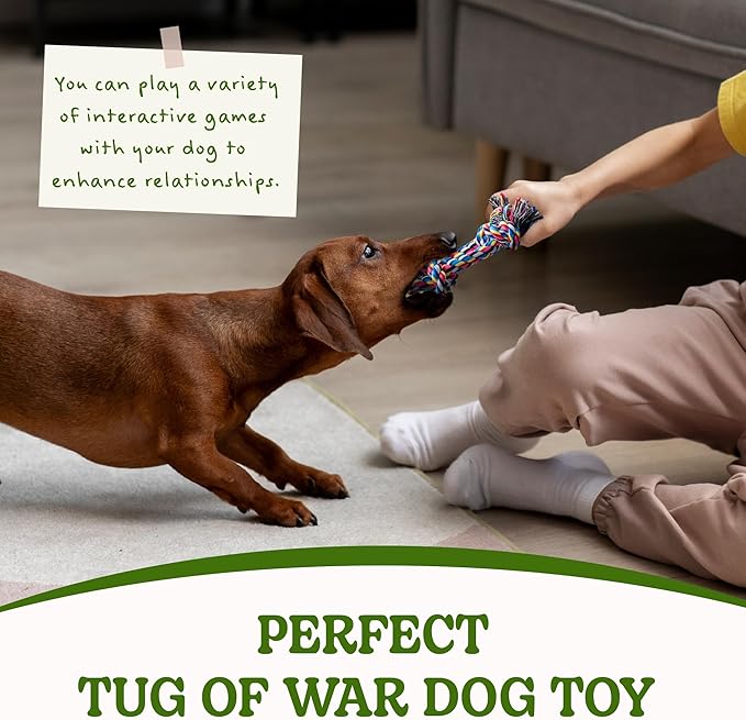 2 Pack Dog Rope Toy for Small Dogs, Puppy Teething Toys, Durable Cotton Puppy Chew Toys for Teething, Small Dog Toys for Aggressive Chewers, Interactive Tug of War Dog Toy for Puppies Boredom-Mewly Pet