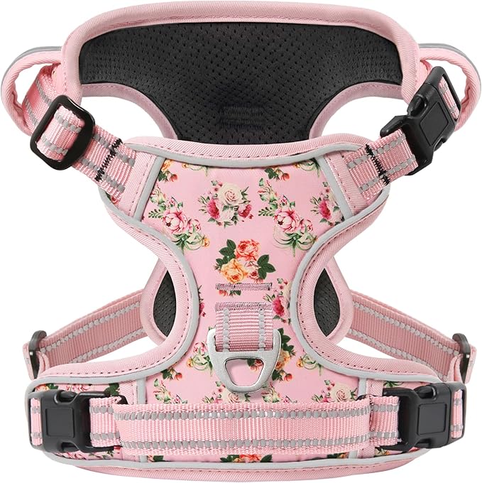 Timos Dog Harness,NO Need Go Over Dogs Head 3 Snap Buckles Pet Harness with 2 Leash Clips,Adjustable Soft Padded No-Pull,Reflective No-ChokeOxford Vest for Small Medium Large Dogs,X-Large (Pack of 1)-Mewly Pet