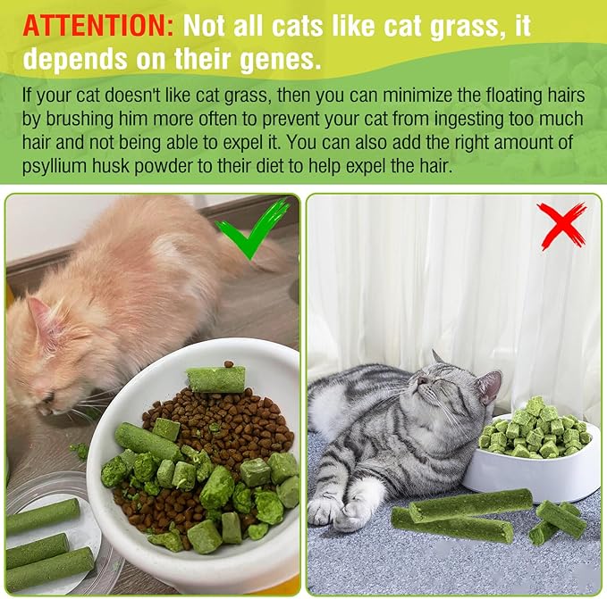 50g Cat Grass Teething Treat, Delicious Cat Grass Teething Snack Edible Cats Chew Toy for Teeth Cleaning and Hairball Removal-Mewly Pet