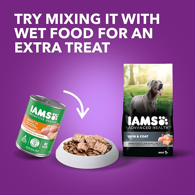 IAMS Advanced Health Skin & Coat Adult Dry Dog Food Chicken and Salmon Recipe, 13.5 lb. Bag-Mewly Pet