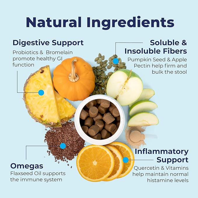 Vetnique Labs Glandex Anal Gland Soft Chew Treats with Pumpkin for Dogs Digestive Enzymes, Probiotics Fiber Supplement for Dogs Boot The Scoot (Bacon/Pork Chews, 30 Count)-Mewly Pet