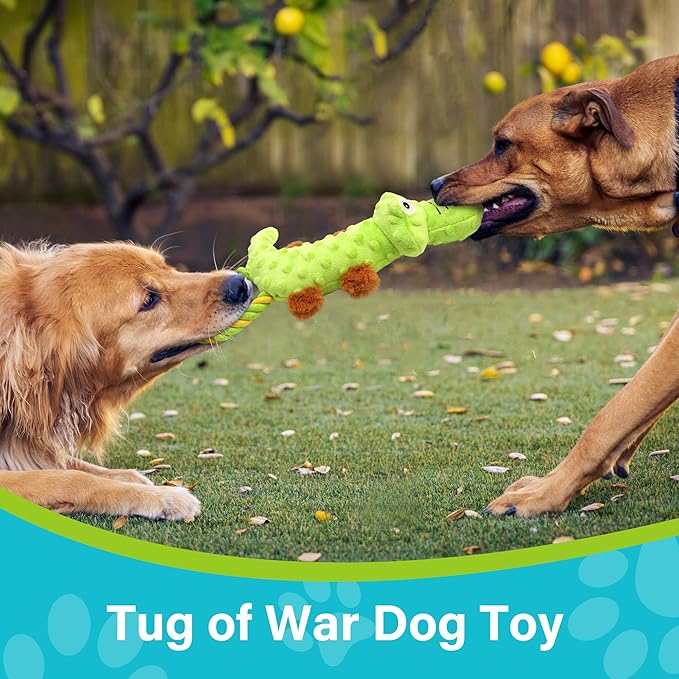 Prime Pets Dog Squeaky Toy, 2 Pack, Tug of War Dog Toys for Small Medium Large Dogs, Interactive Plush Puppy Chew Toy-Mewly Pet