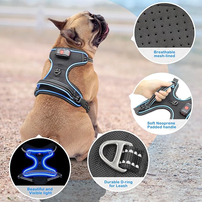 Light Up Dog Harness, No Pull LED Dog Harness with Handle, Rechargeable Lighted Safety Vest for Small Medium Large Dogs, Adjustable Soft Dog Lights for Night Walking-Mewly Pet