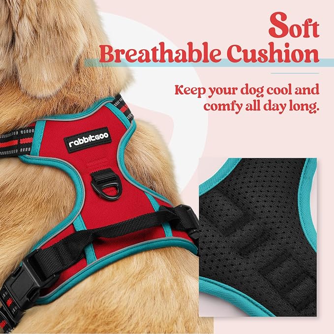 rabbitgoo Dog Harness No Pull with 2 Leash Clips, Adjustable Soft Padded, Reflective Oxford No Choke Pet Vest with Easy Control Handle for Small Dogs, Red & Teal, S-Mewly Pet