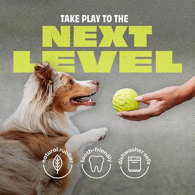 Benebone Dog Ball, Natural Rubber-Mewly Pet