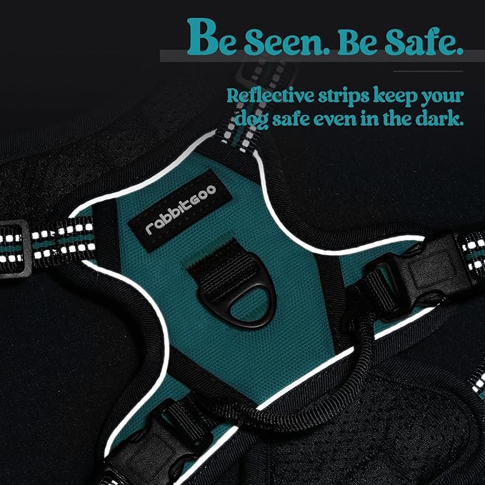rabbitgoo Dog Harness No Pull with 2 Leash Clips, Adjustable Soft Padded, Reflective Oxford No Choke Pet Vest with Easy Control Handle for Puppy, Teal, XS-Mewly Pet