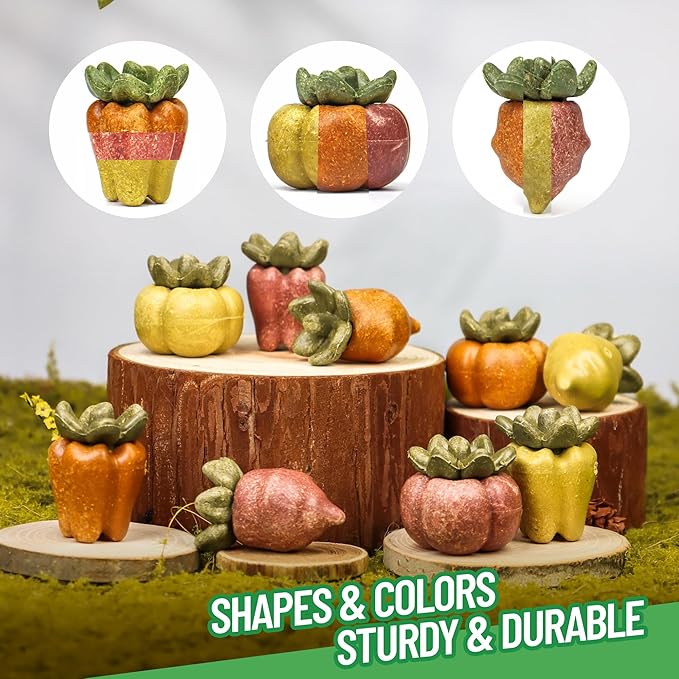 TEEWY Guinea Pig Chew Toys, Natural Vegetables and Timothy Grass, Hamster Chew Toys, Prevents Excessive Tooth Growth in Chinchillas, Gerbils, Hamsters, and Rabbits, Fruits & Vegetables Set-Mewly Pet