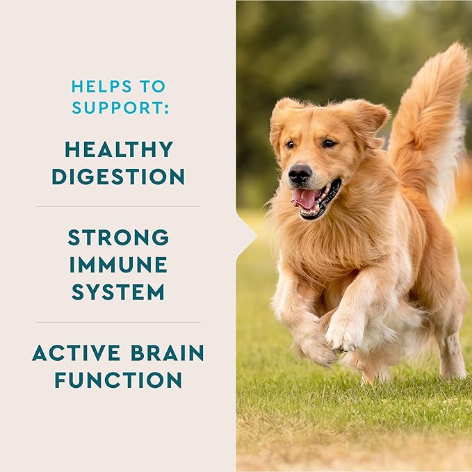 VetIQ Multivitamin Supplement for Dogs, Supports Active Brain Function, Immune System, and Digestive System, Hickory Smoke Flavored Dog Multivitamin, Made in The USA, 60 Count-Mewly Pet