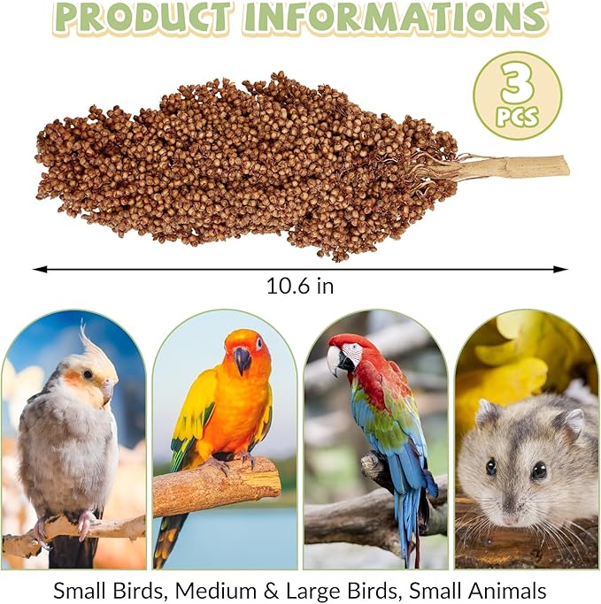 Fhiny Millet Spray for Birds, 3 PCS Natural Sun-Dried Red Sorghum Grain for Birds Seed Original Parrot Treats & Supplement Parakeet Food for Cockatiels Lovebirds Finches Budgies Pigeons Hamsters-Mewly Pet