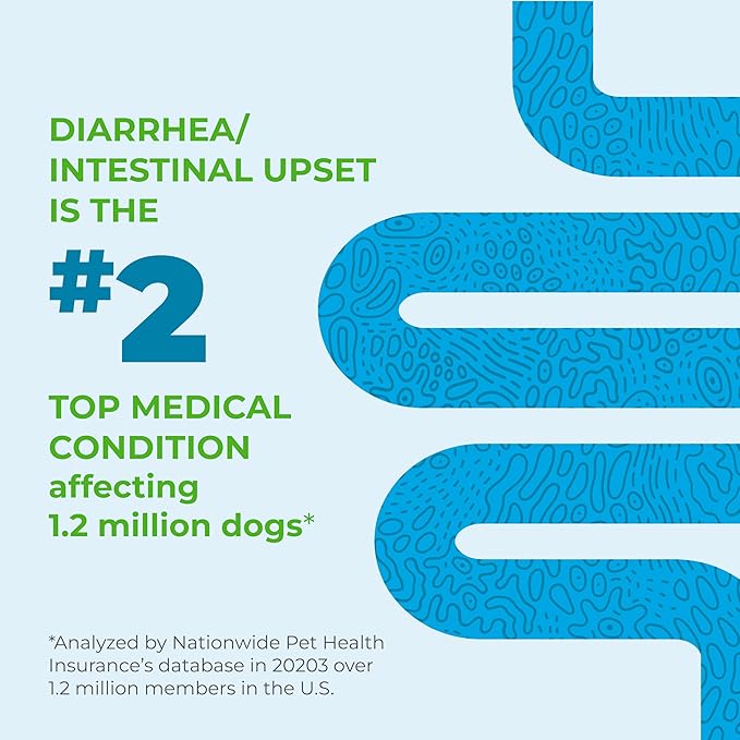 Vetnique Glandex Daily Probiotics for Dogs with Prebiotics to Support Gut Health with Fiber and Digestive Enzymes, Probiotic Chews or Powders (120ct Chews, Bacon Chews)-Mewly Pet