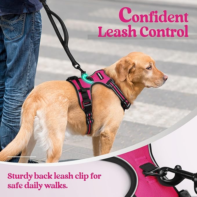 rabbitgoo Dog Harness No Pull with 2 Leash Clips, Adjustable Soft Padded, Reflective Oxford No Choke Pet Vest with Easy Control Handle for Large Dogs, Hot Pink, L-Mewly Pet