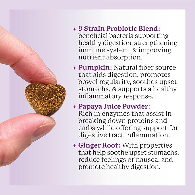 Dr. Harvey's Digestive Probiotic Soft Chews for Dogs, 7 Probiotics for Gut Health, Diarrhea and Bowel Support, Peanut Butter Flavor (90 Chews)-Mewly Pet