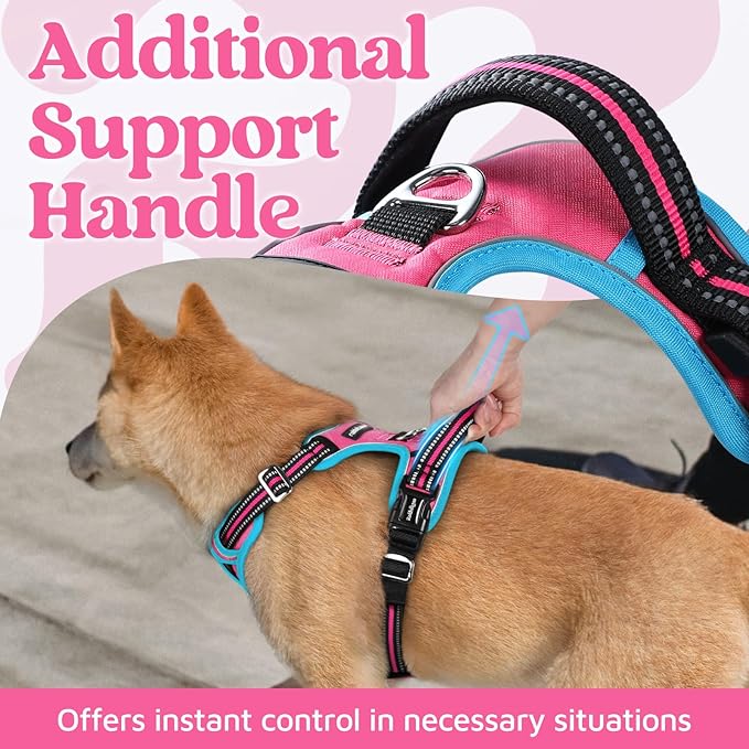 rabbitgoo Dog Harness Small Sized, No Pull Dog Vest with 3 Buckles, Adjustable Soft Padded Pet Harness with Easy Control Handle and Reflective Strips, Rose Pink & Blue, S-Mewly Pet