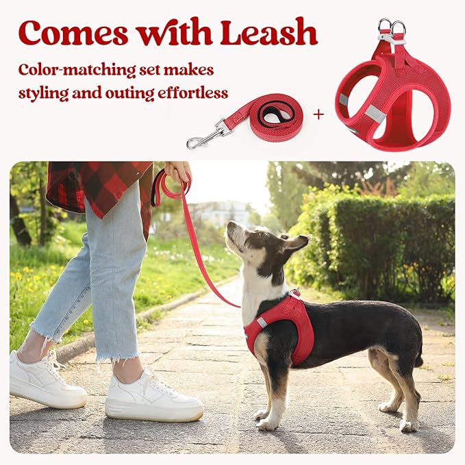 rabbitgoo Dog Harness Small Medium Sized and Leash Set, Step in Soft Light Puppy Vest, Breathable Mesh Pet Harness, Reflective for Safe Easy Walking, Red L-Mewly Pet