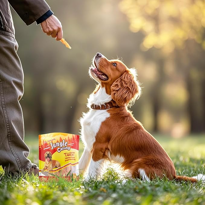 Jungle Calling Dog Treats, Chicken Wrapped Rawhide Sticks for Dogs, Delicious and Nutritious Training Reward Treats and Dog Chews Snacks, 6 oz-Mewly Pet