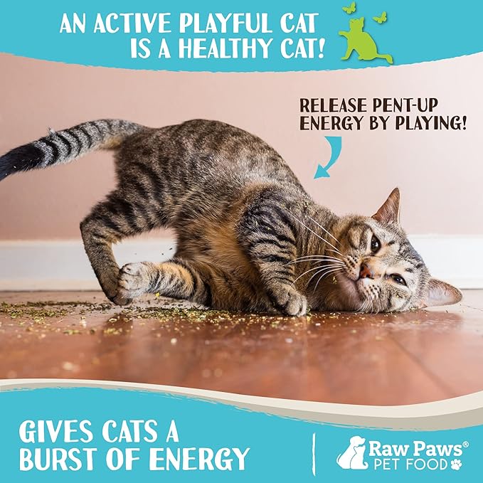 Raw Paws Fresh Catnip for Cats, 1-oz (2 Cups) - Use for Refillable Catnip Toys for Cats - Natural Dried Cat Nip-Mewly Pet