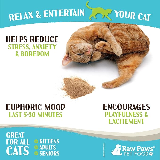 Raw Paws Silvervine Powder, 75 Grams - 2X More Attractive than Catnip for Cats, 100% Silver Vine Gall Fruit Powder, Matatabi Silvervine Cat Toy for Indoor Cats, Catnip Kitten Toys, Silvervine for Cats-Mewly Pet