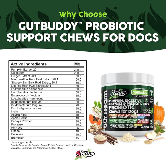 Probiotics for Dogs with Pumpkin, Colostrum, Digestive Enzymes, Ginger, Slippery Elm, Licorice, Inulin Fiber & More | Beef Flavor Soft Chews for Gut Health and Digestion Dog Supplement-Mewly Pet