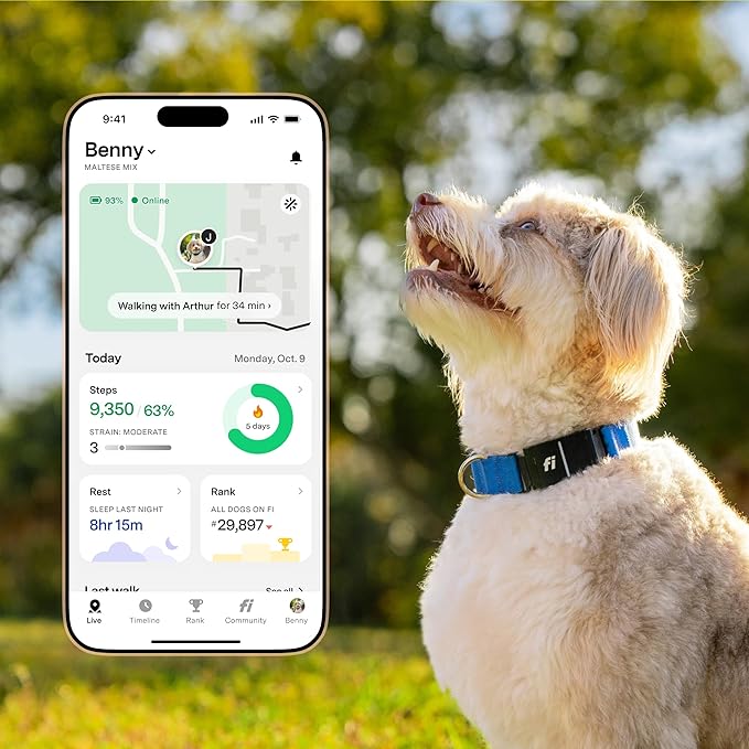 Fi New Series 3+ Smart Dog Tracker Collar – AI GPS for Dogs, Health & Behavior Monitor, Virtual Fence, Escape Alerts, Waterproof, Apple Watch Compatible 12Mo Membership Included-Mewly Pet