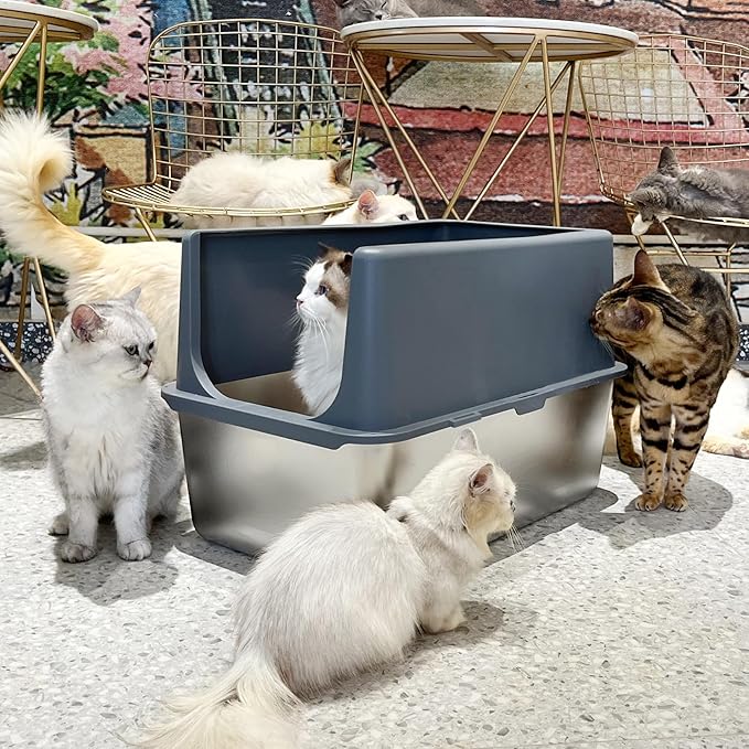 Large Stainless Steel Litter Box with Lid, High Sides, 16" Metal Cat Litter Box, Extra Large Litter Boxes for Big Cats, Tall Cat Litter Pan, Grey, Easy Clean-Mewly Pet