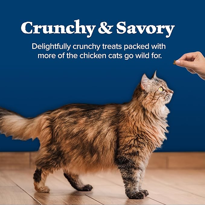 Blue Buffalo Wilderness High Protein Crunchy Cat Treats, Made with Natural Ingredients, Tasty Salmon Flavor, 2-oz Bag (Pack of 12)-Mewly Pet
