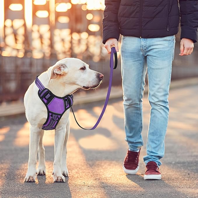 BUMBIN Dog Harness for Large Dogs, No Pull Adjustable No Choke Pet Vest with Dog Leash Fit Smart Reflective Pet Walking Harness for Training Easy Control Soft Handle Purple S-Mewly Pet