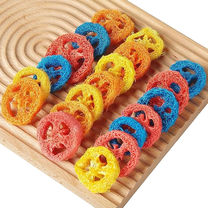 15 Pcs Fruit Flavored Loofah Slices Rabbit Chew Toys Guinea Pig Chew Toys Small Pet Chews Bunny Toys for Teeth Rabbit Toys-Mewly Pet