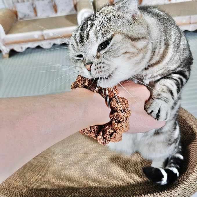 Natural Silvervine Gall Fruit Cat-Attracting Bracelet,Interactive Cat Toy for Indoor Cats,Cat Chew Toy with Gallfruit | Catnip & Silvervine Alternative, Stress Relief & Gift-Mewly Pet