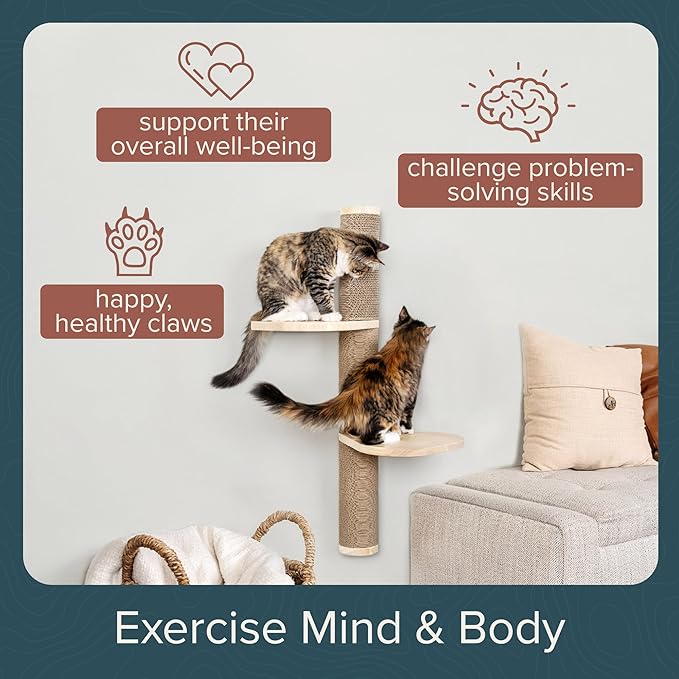 Cat Climbing Wall System – Modern Floating Shelves & Perches for Cats - Sunrise Steps | Ascentials by FurHaven-Mewly Pet