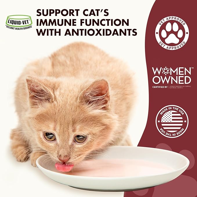 Immune Support for Cats – Daily Formula with Inulin, Beta-Glucan, Vitamin E, Omega-3s, Fermented Yeast & More! - Made for Picky Eaters-Mewly Pet
