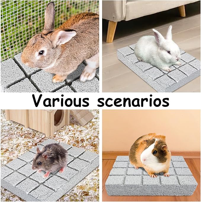 Hamiledyi 2PCS Rabbit Scratching Pads Bunny Lava Grinding Claw Pads Small Animal Foot Pads Hamster Scratch Board Chew Toys for Gerbil Chinchilla Hedgehog Guinea Pig Cage Accessories-Mewly Pet
