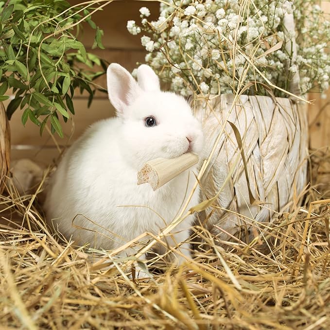 Niteangel Natural Bamboo Chew Toys for Rabbits, Chinchilla, Guinea Pigs and Other Small Animals-Mewly Pet