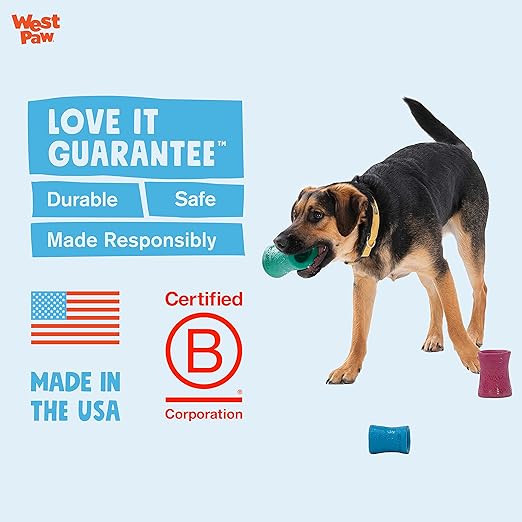 WEST PAW Funnl Dog Chew Toy - Interactive Treat Toys for Dogs - Toy Fillable with Earth Animal No-Hide Chews - Large 4.25" Kelp | Made in USA-Mewly Pet