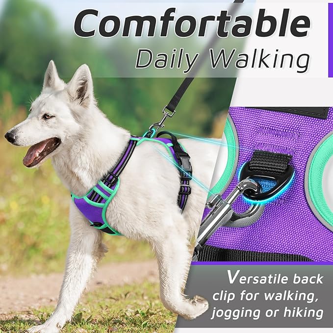Eagloo Dog Harness for Large Dogs, No Pull Service Vest with Reflective Strips and Control Handle, Adjustable and Comfortable for Walking, No Choke Pet Harness with 2 Metal Rings, Purple & Green, L-Mewly Pet