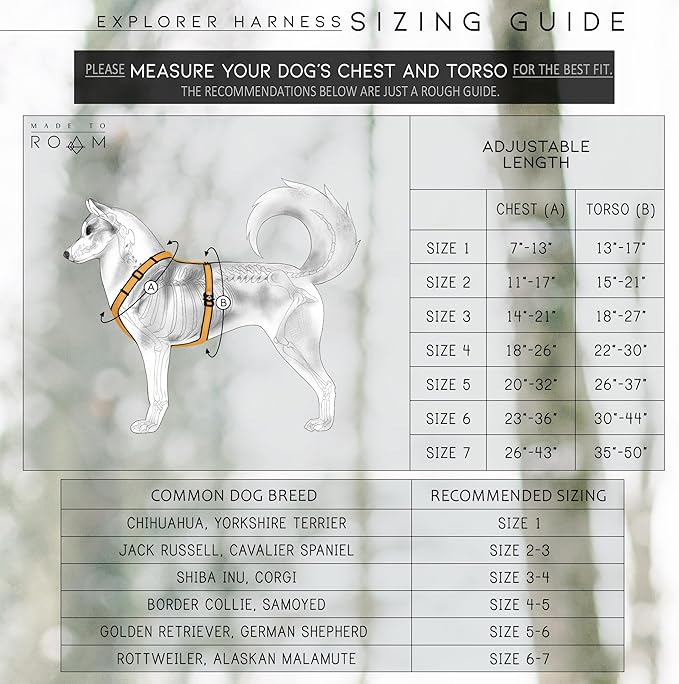 MADE TO ROAM Premium Explorer Harness - Y-Shaped Dog Harness with Adjustable Durable Nylon, Soft Padding, Metal Buckles and Leather Handle for Small, Medium, Large Dogs (Carolina Blooms, Size 6)-Mewly Pet