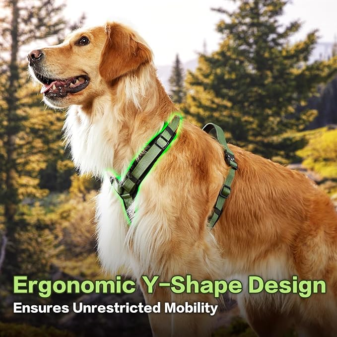 CLEPAWS Dog Harness for Large Dogs, No Pull Dog Harness Easy Walk with Metal Hardware, Ergonomic Y-Shaped Design, Soft Padding, Padded Handle, Durable High-Tensile Nylon (Evergreen, L)-Mewly Pet