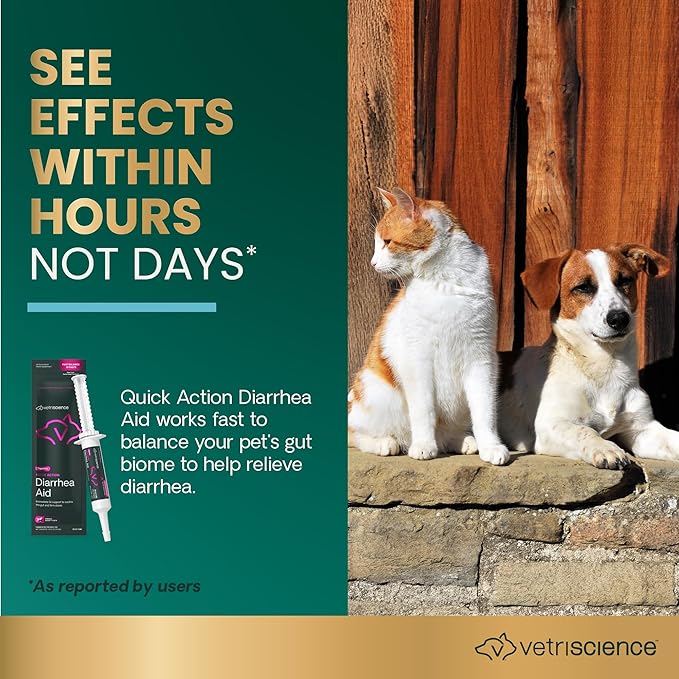 VetriScience Quick Action Diarrhea Aid Paste with Probiotics & B Vitamins, Fast Balance Digestive Support Supplement for Dogs and Cats, Gut Balancer, Help Stop Diarrhea, Unflavored, 35 cc-Mewly Pet