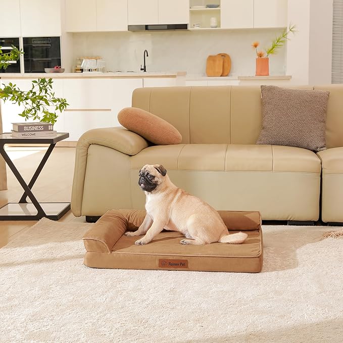 Chew Proof Dog Bed, 3" Memory Foam Dog Bed for Small and Medium Dogs, Removable and Washable Microsuede Cover, Waterproof Liner, Nonskid Bottom, 30x20 Inches S Khaki-Mewly Pet