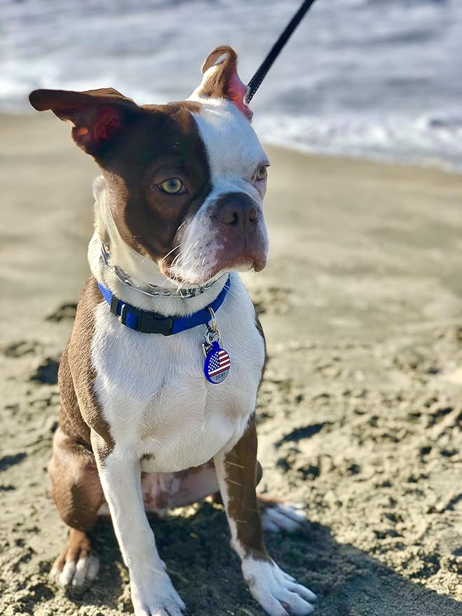 LYP Original Soundless Pet ID Tags | Custom Dog Tags Personalized for Pets | Durable Silicone Deep Engraved Dog Tag | No More Jingling | U.S. Flag-Mewly Pet