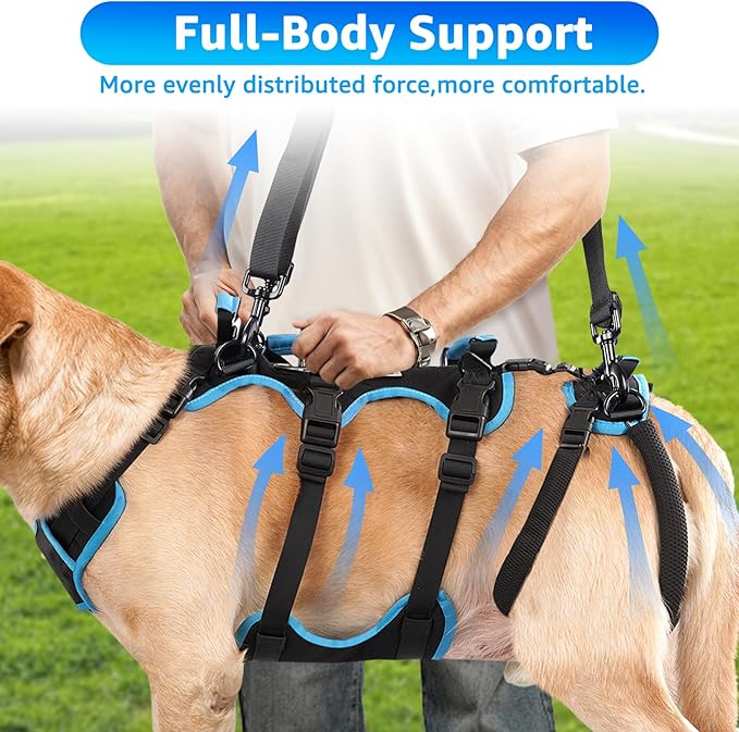 Dog Lift Harness for Large Male Dogs, 2-in-1 Detachable Support Harness, Full Body Carrying with 4 Handles, Dog Sling for Large Dogs Hind Leg Support(Black, X-Large)-Mewly Pet