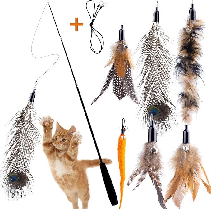 Retractable Cat Wand Toys - Interactive Feather Wand with Bell for Indoor/Outdoor Cats, 8 Pack-Mewly Pet