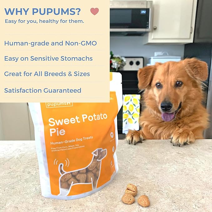 Sweet Potato Dog Treats Organic Grain Free Non-GMO Highly Digestible Dog Biscuits Made in USA (24oz)-Mewly Pet