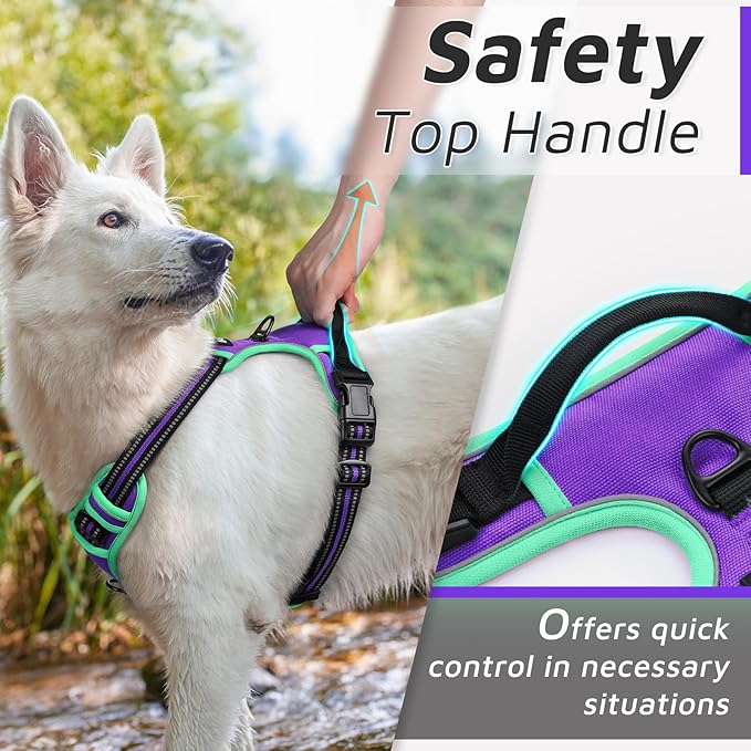 Eagloo Dog Harness for Large Dogs, No Pull Service Vest with Reflective Strips and Control Handle, Adjustable and Comfortable for Walking, No Choke Pet Harness with 2 Metal Rings, Purple & Green, XL-Mewly Pet