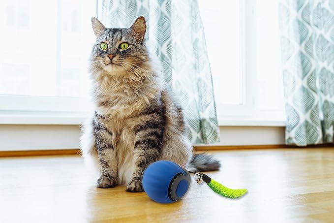 Smart Speedy 3.0 Interactive Cat Ball with Auto Obstacle Avoidance - Indoor Kitten Toy for Mental Stimulation & Playtime Fun ，2025 Edition (Blue)-Mewly Pet
