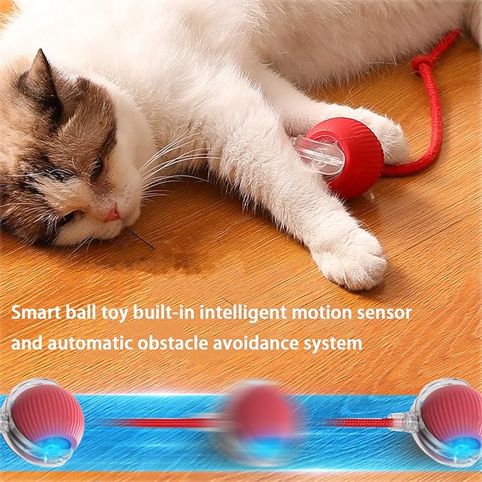 2 Packs Interactive Cat Toy Ball for Indoor Cats - 3-Speed Smart Rolling Ball with Flashing Lights, USB Rechargeable Automatic Motion Kitten Toys for Bored Adult Cats & Playful Kittens-Mewly Pet