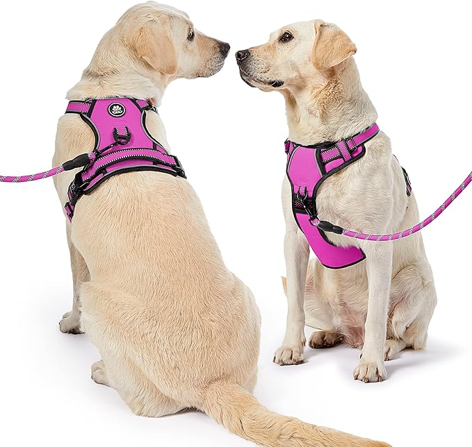 NESTROAD No Pull Dog Harness,Adjustable Oxford Dog Vest Harness with Leash,Reflective No-Choke Pet Harness with Easy Control Soft Handle for Large Dogs(X-Large,Fuchsia Pink)-Mewly Pet