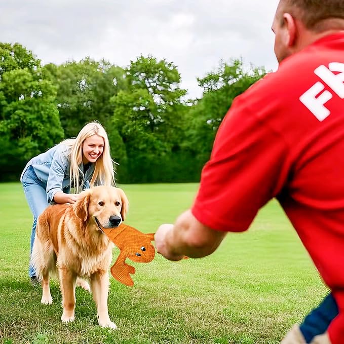 Squeaky Dog Toy No Stuffed Dog Toys,Lobster Puppy Toys for Small Medium Large Breed pups Teething Interactive Toy to Keep Them Busy, Best Christmas Birthday Gift-Mewly Pet