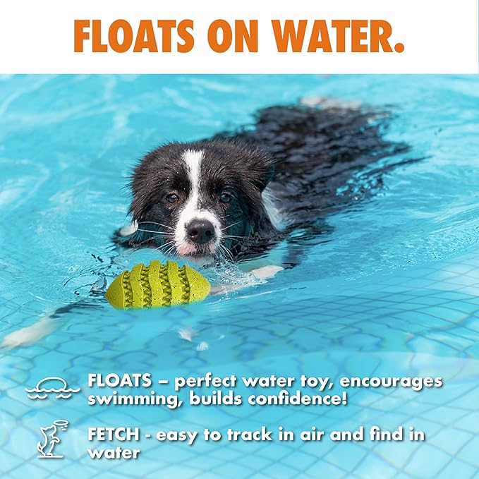 Max Fusion with Nike Grind, Arlee Spiro Football Treat Dispensing Dog Toy, Durable Dog Treat Toy, L-Mewly Pet