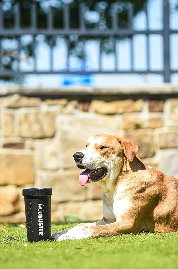 Dexas MudBuster Portable Dog Paw Washer/Paw Cleaner, Large, Matte Black- Special Edition (PW72025-22WP)-Mewly Pet